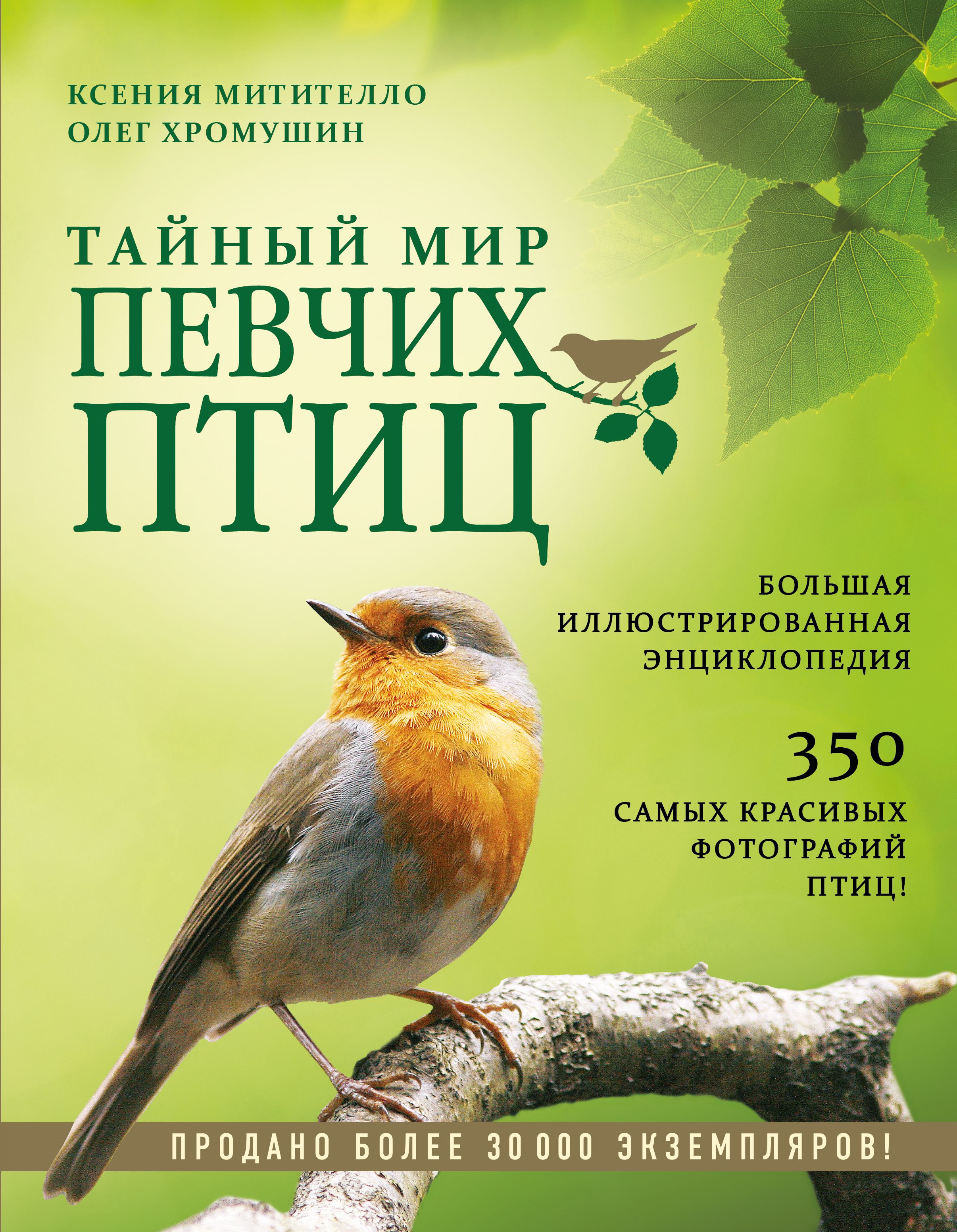 Певчих отзывы. Тайный мир певчих птиц большая иллюстрированная. Эксмо / тайный мир певчих птиц. Большая иллюстрированная энциклопедия. Иллюстрированная энциклопедия птицы Эксмо Ксения Митителло. Певчие птицы. Энциклопедия | Митителло Ксения Борисовна.