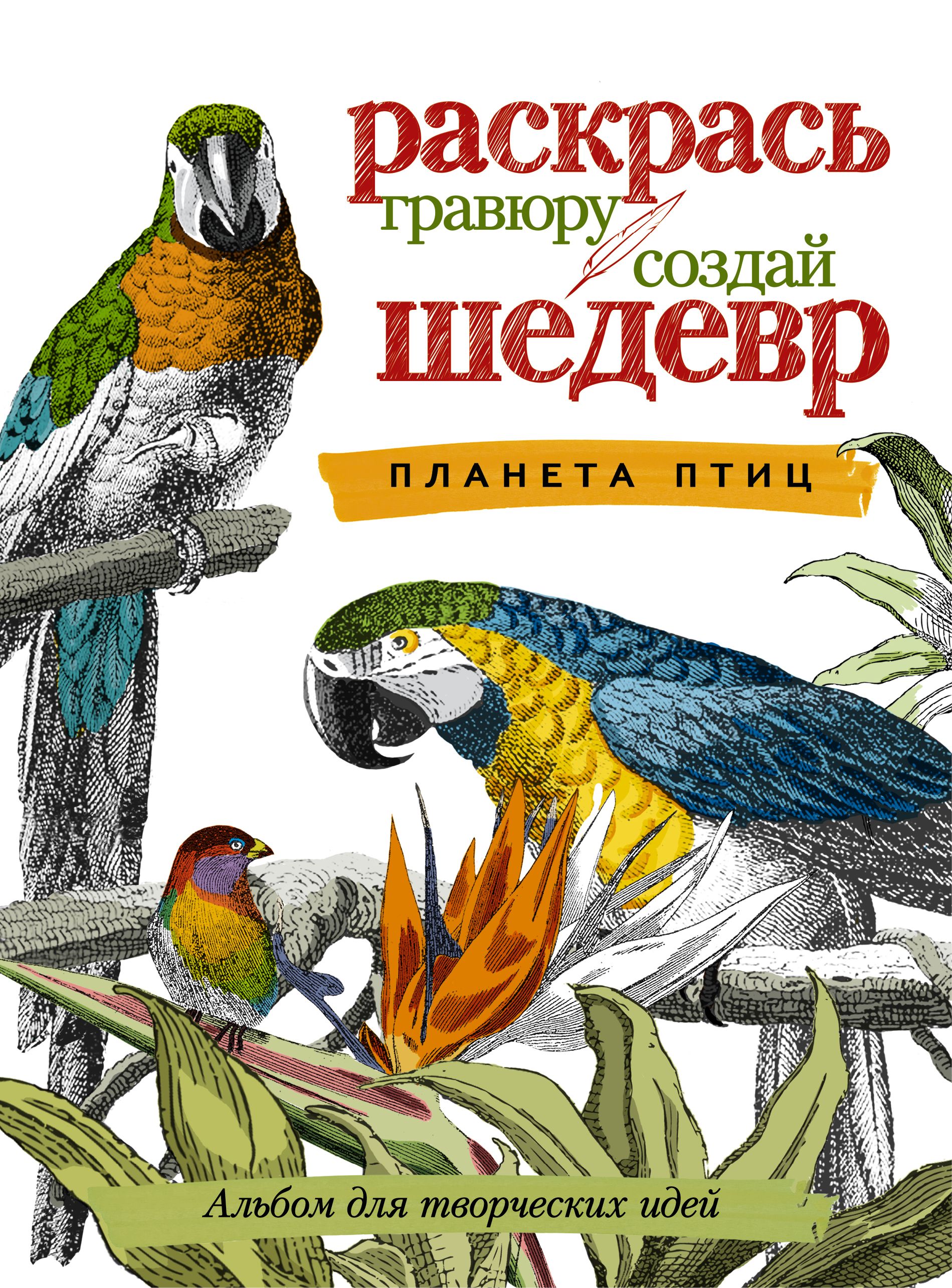 Планета птиц. Планета птиц раскрась гравюру. Альбом птицы. Раскрась гравюру Создай шедевр Планета фасада.шедевры архитектуры.