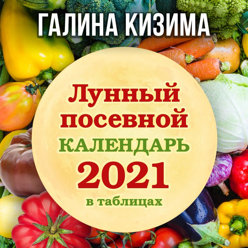 Дачный участок лунный посевной календарь на август