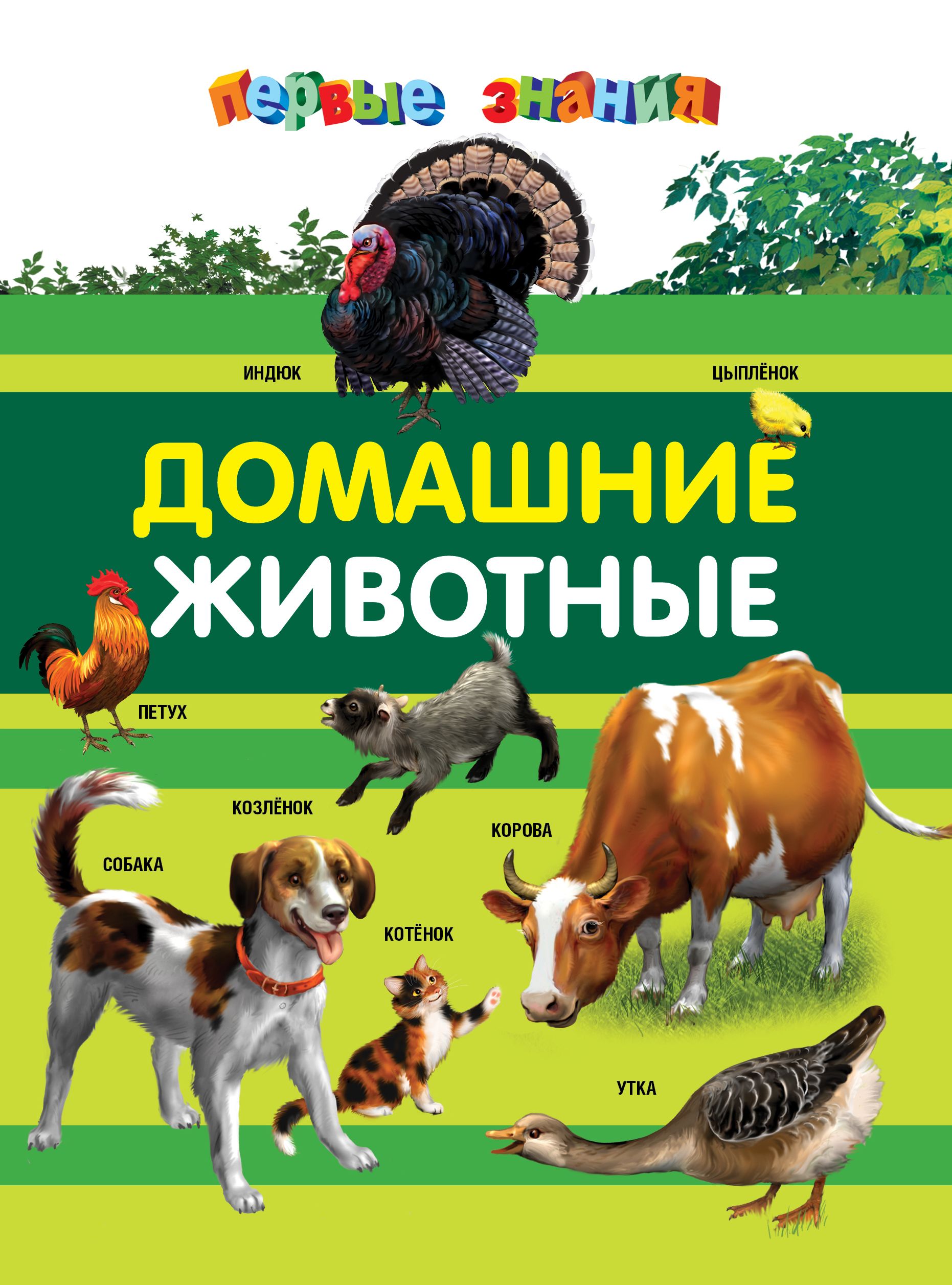 Книги о домашних животных читать