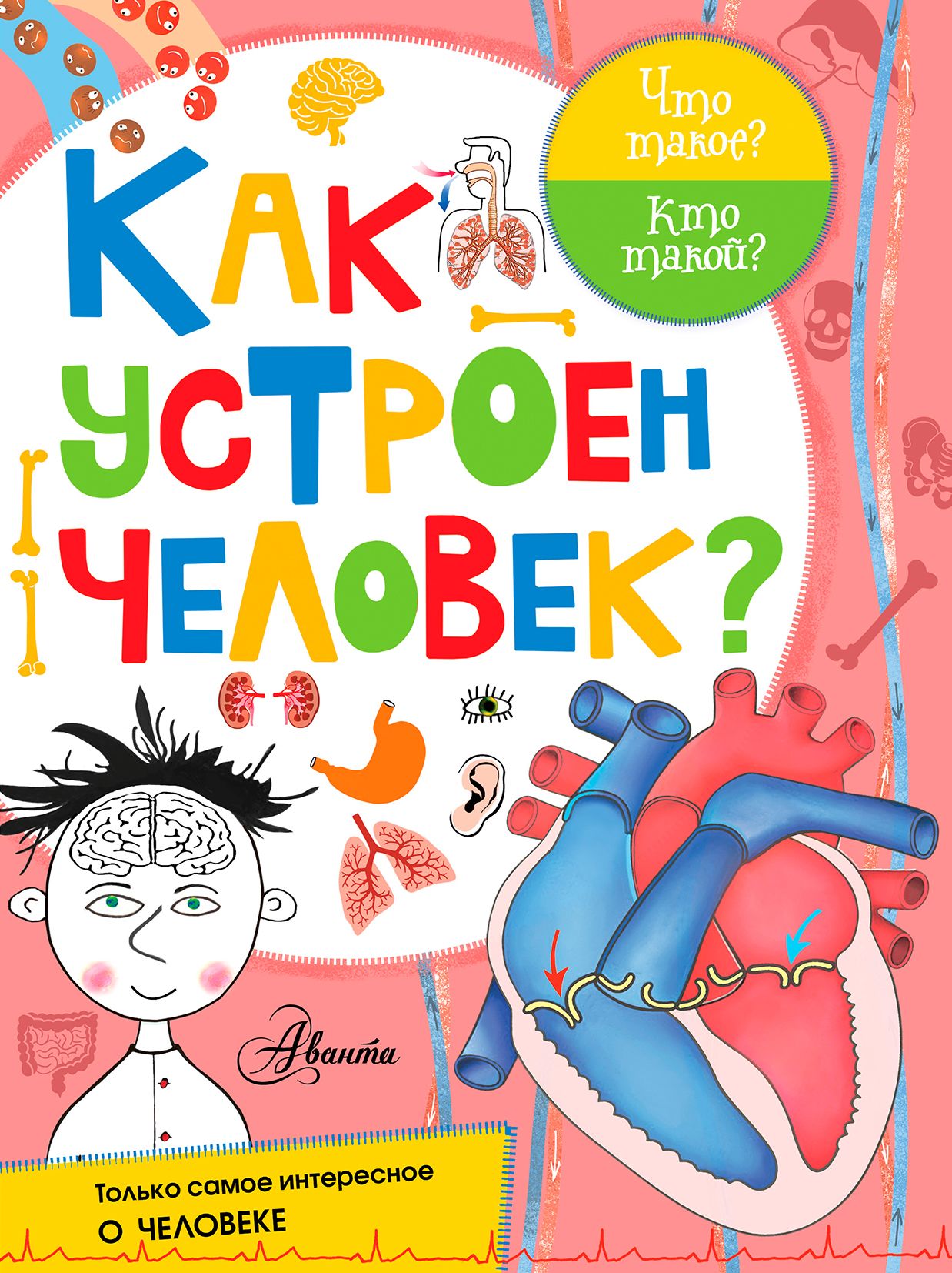 Как устроен человек. Как устроен человек книга. Детская книга как устроен человек. Книжка как устроен человек для детей.