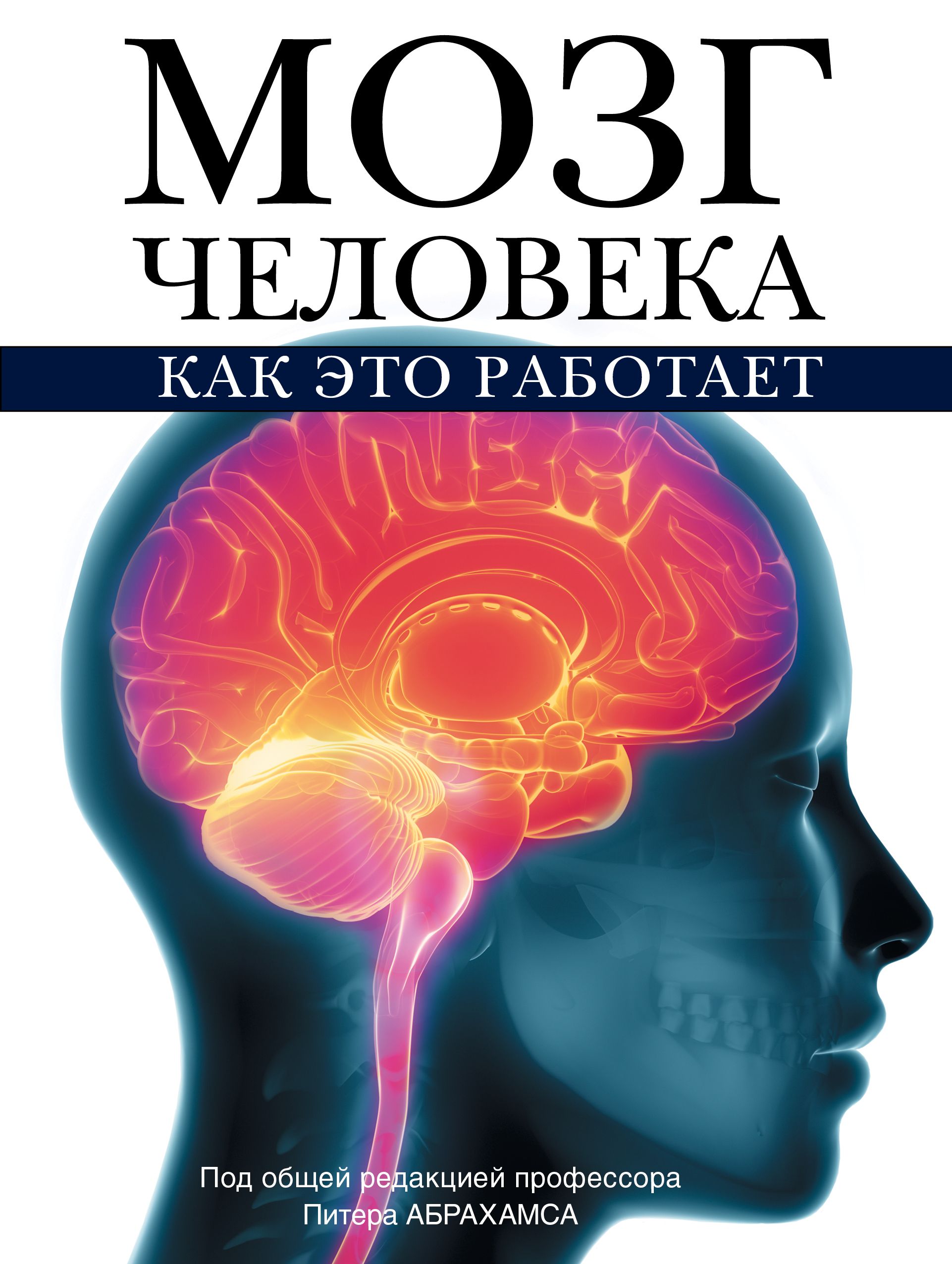 Книги о том как работать. Книга мозг. Книга про мозг человека. Мозг с книжкой.
