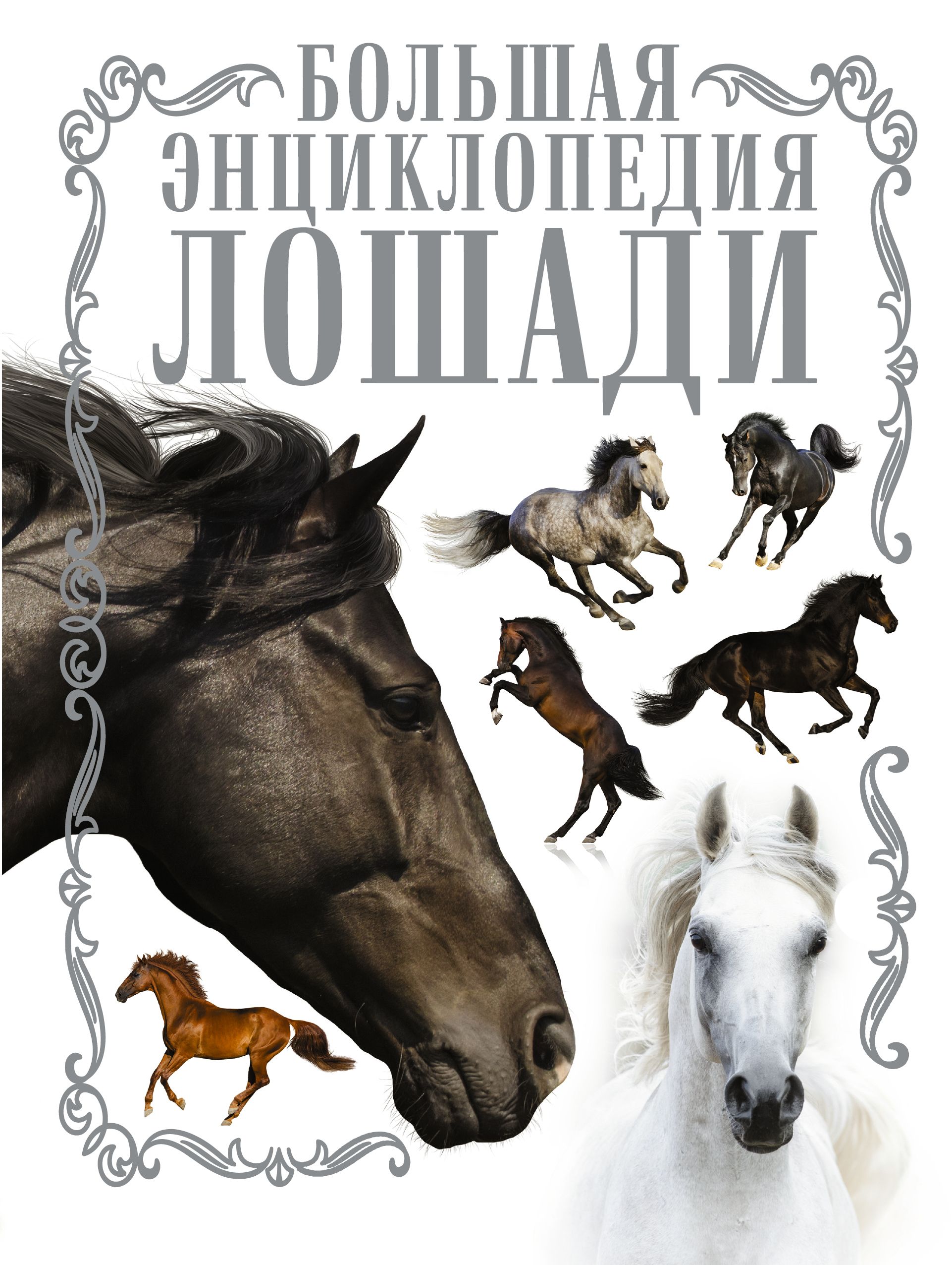 Книги про лошадей. Лошади. Большая энциклопедия а. а. Спектор книга. Большаяэнцыклопедия лошади экспектар Анна Артуровна. Большая энциклопедия о лошадях Спектор а.. Лошади. Большая иллюстрированная энциклопедия Спектор а..