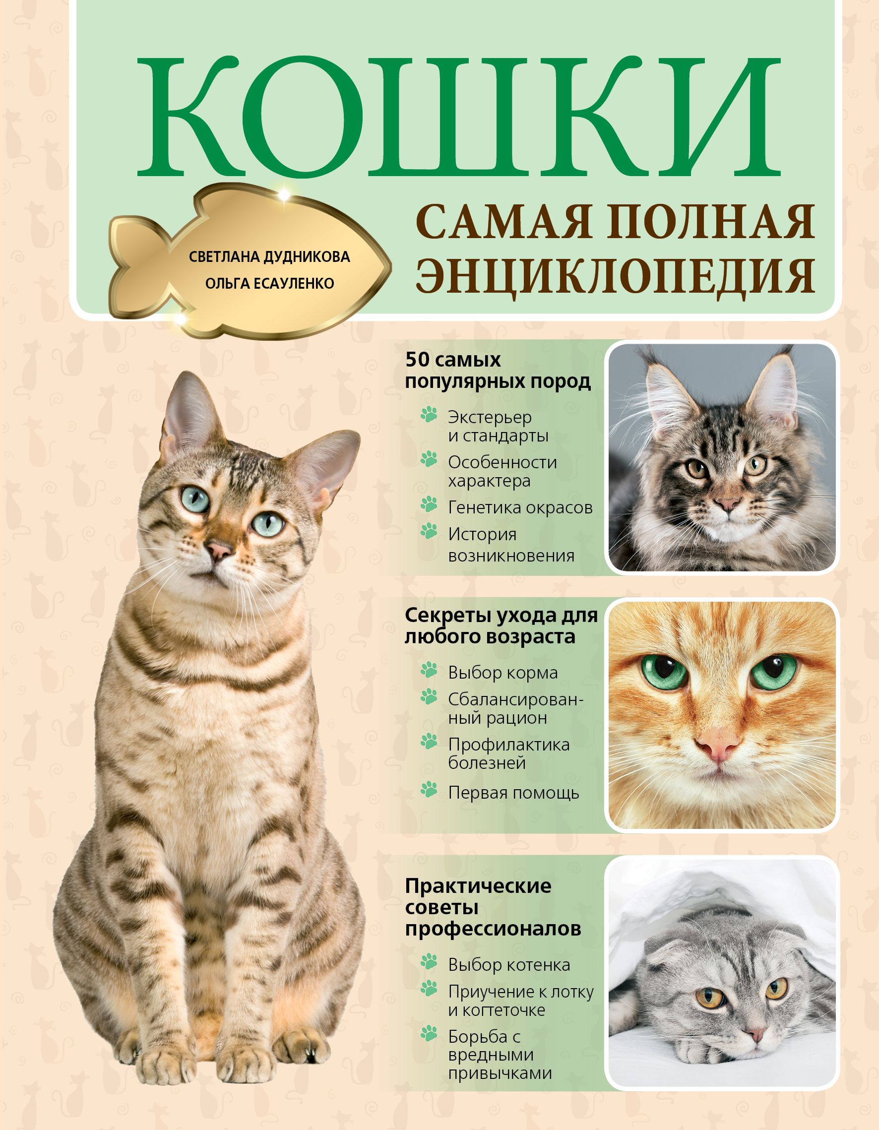 Кошки и их особенности