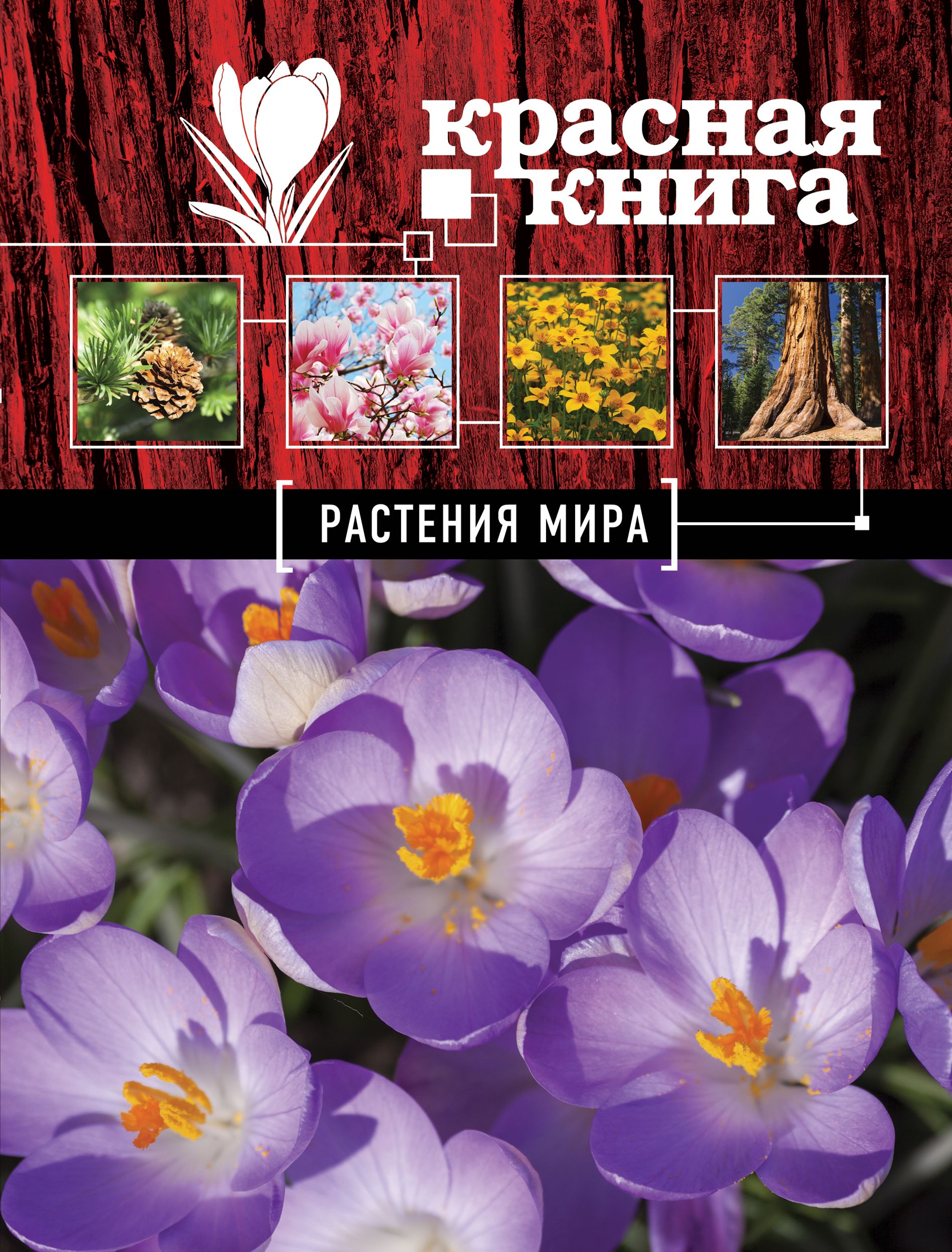 Красная книга цветы. Галина Мелихова: красная книга. Растения мира. Растения красной книги мира. Красная книга растения обложка. Красная книга мира.