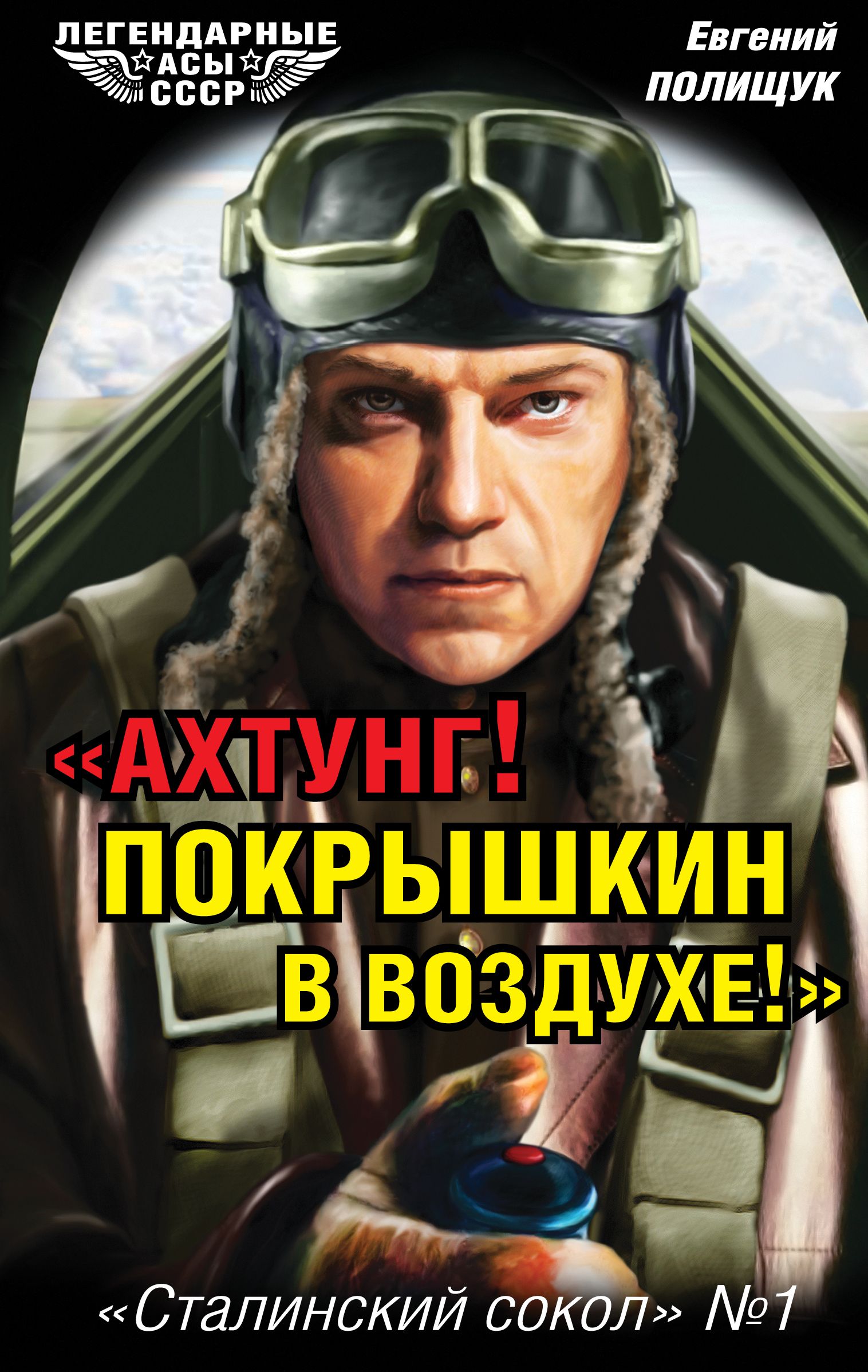 Книги сталинский сокол. Ахтунг Покрышкин в воздухе. Сталинские Соколы. Ахтунг ахтунг в небе Покрышкин.