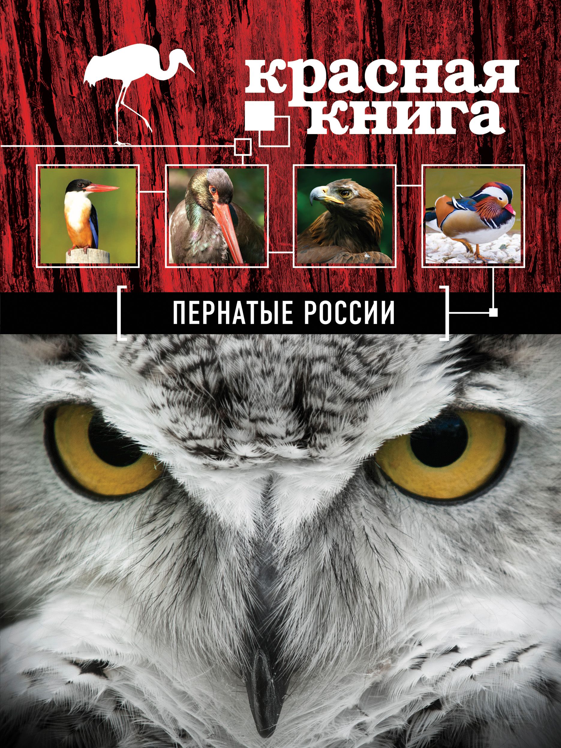 Книги росси. Красная книга. Пернатые России. Оксана Скалдина красная книга России. Обложка красной книги птицы. Обложка книги красная книга России птицы.