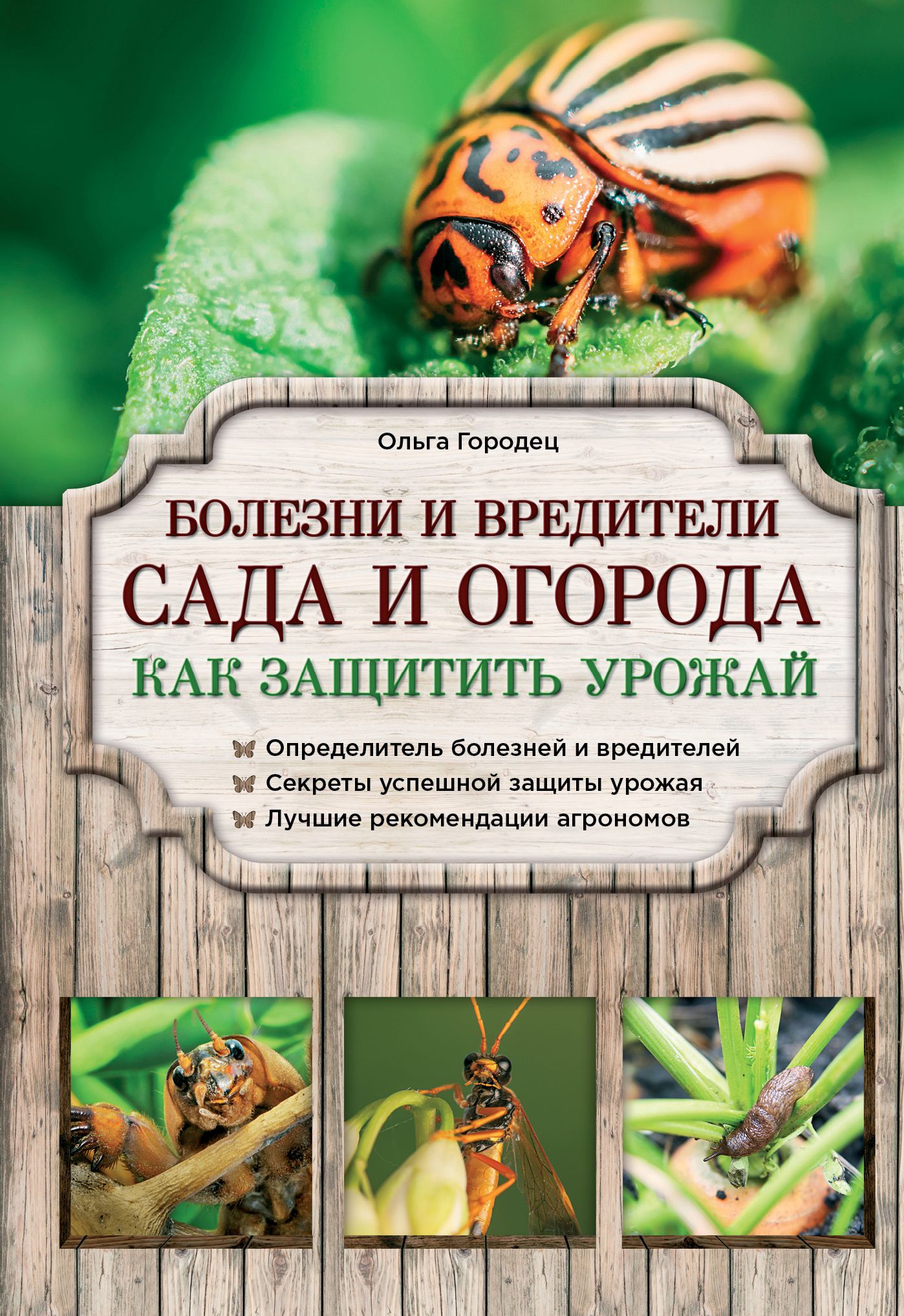 Болезни и вредители сада. Болезни и вредители сада и огорода Городец. Книга вредители сада и огорода. Болезни и вредители книга. Книги вредители садовых и огородных культур.