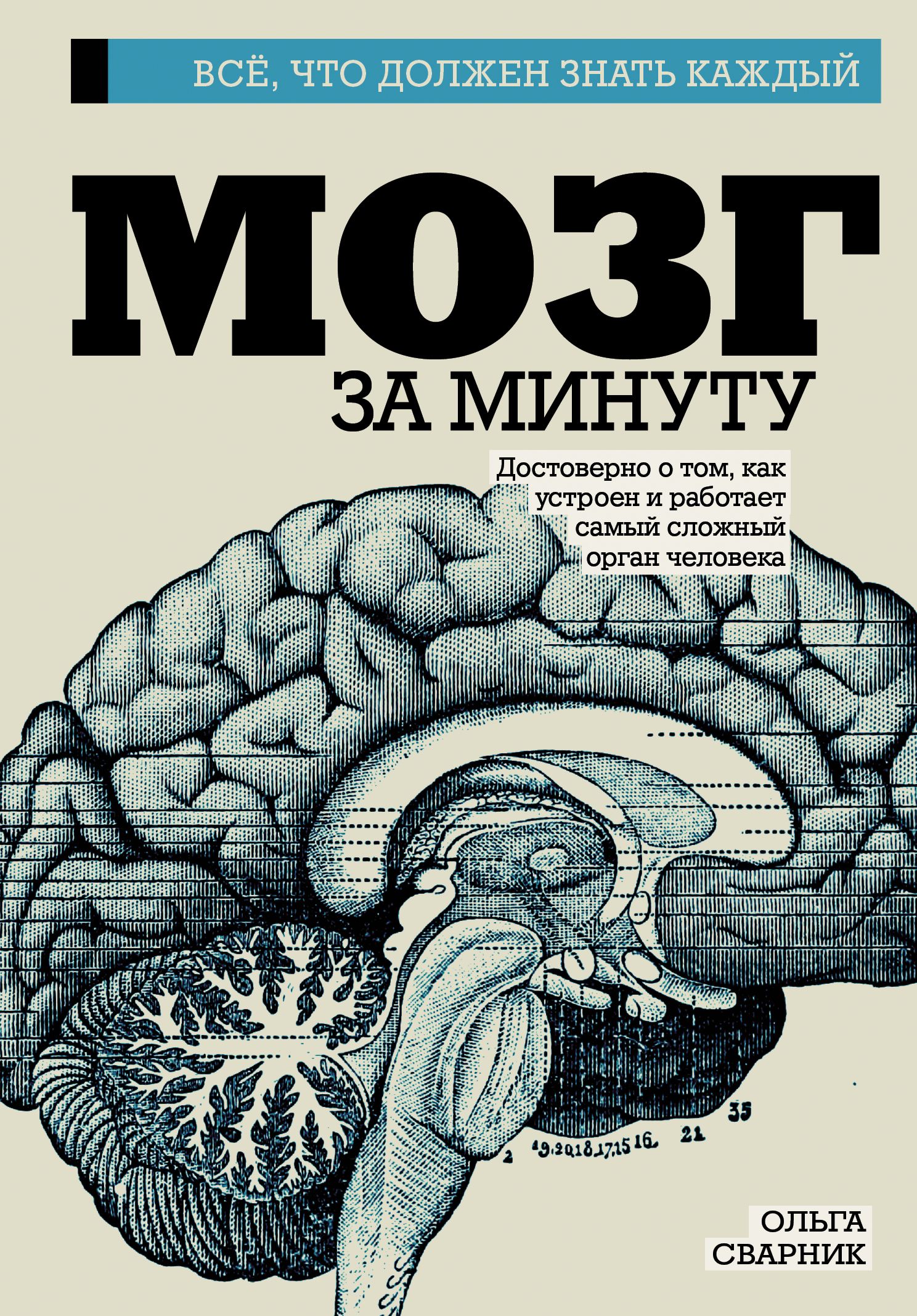 Book brain. Книга мозг. Книга про мозг человека. Мозг за минуту книга.