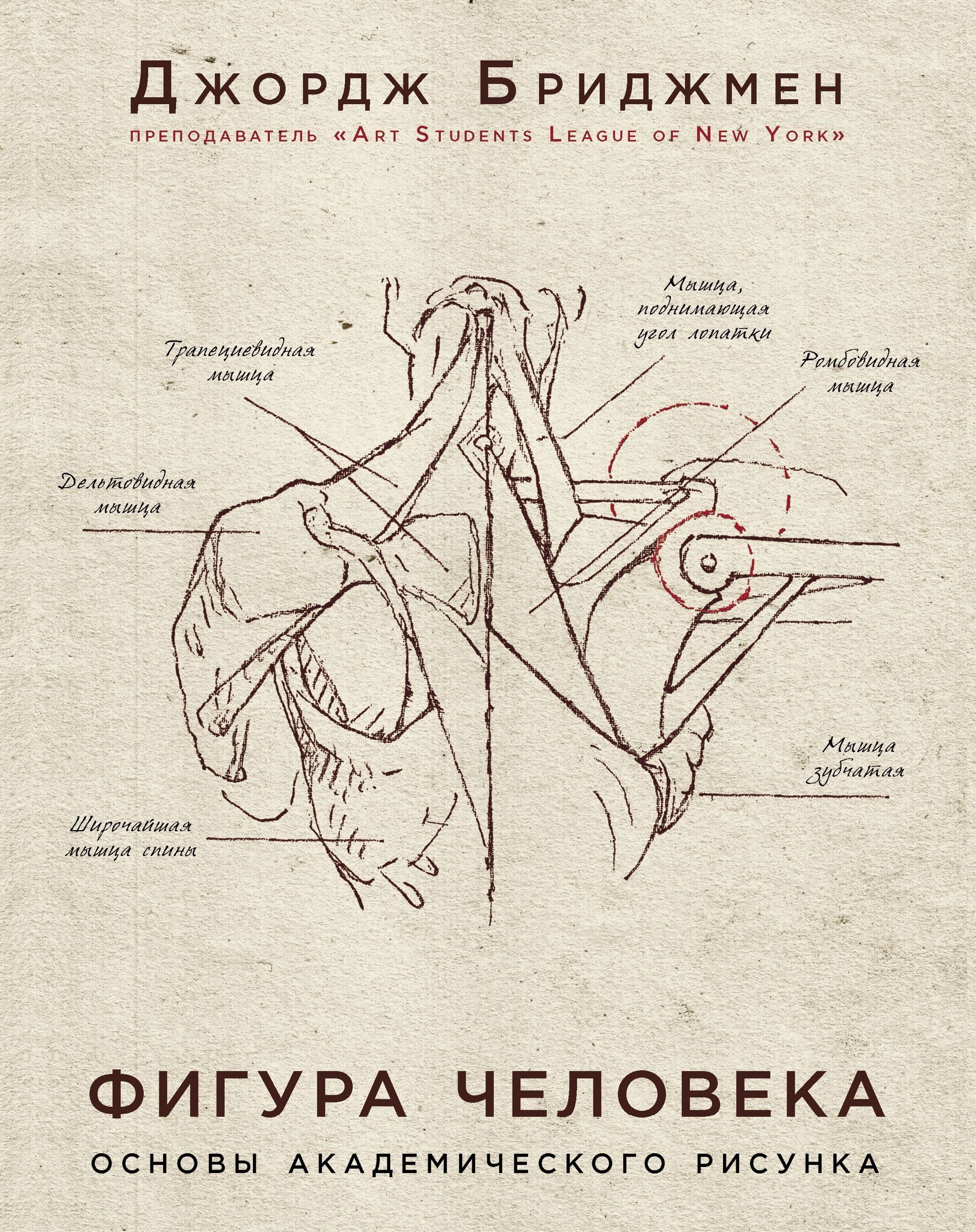 Купить Книгу База Академического Рисунка