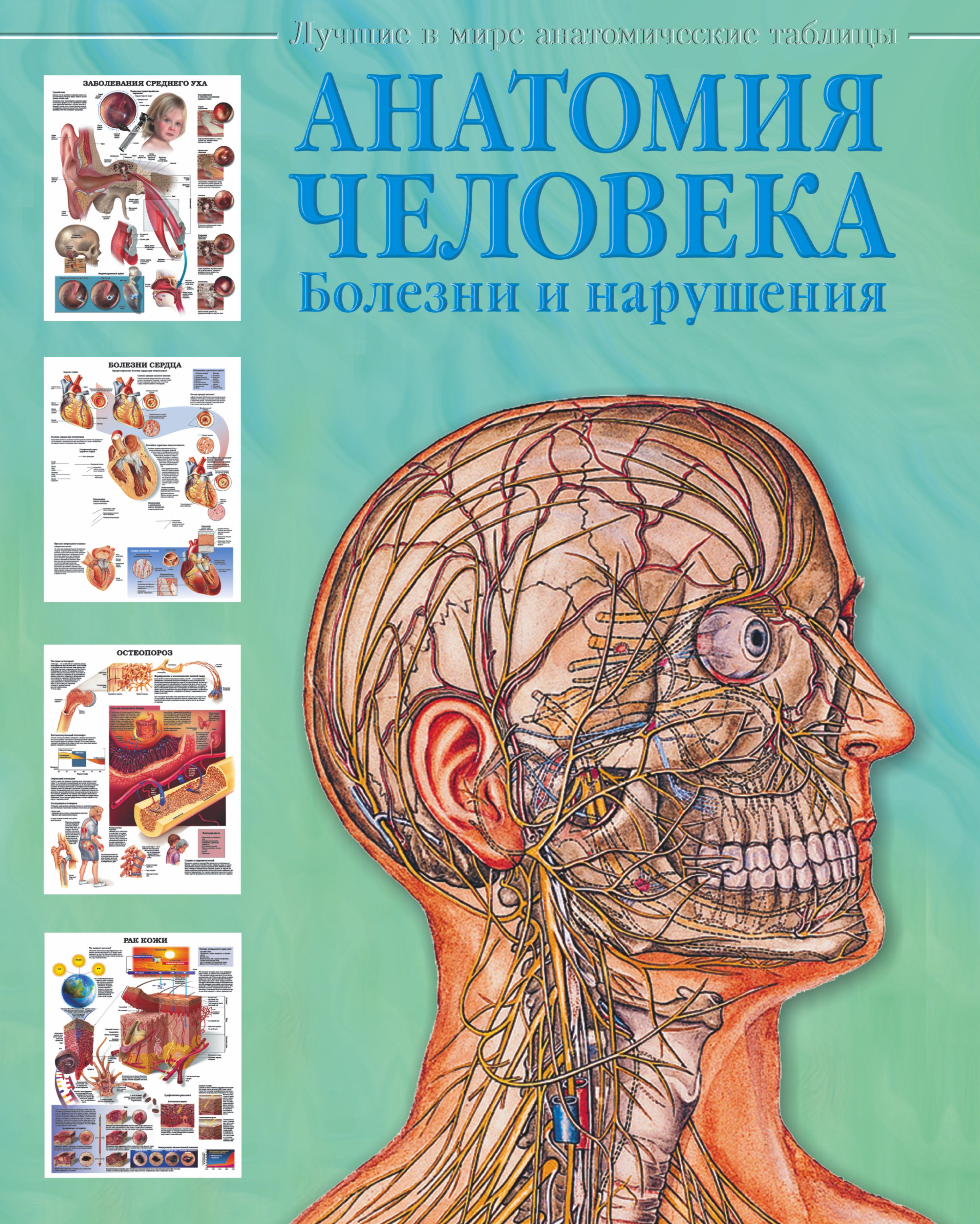 Книга анатомия человека. Атлас анатомии человека. Книга заболеваний и анатомии человека.