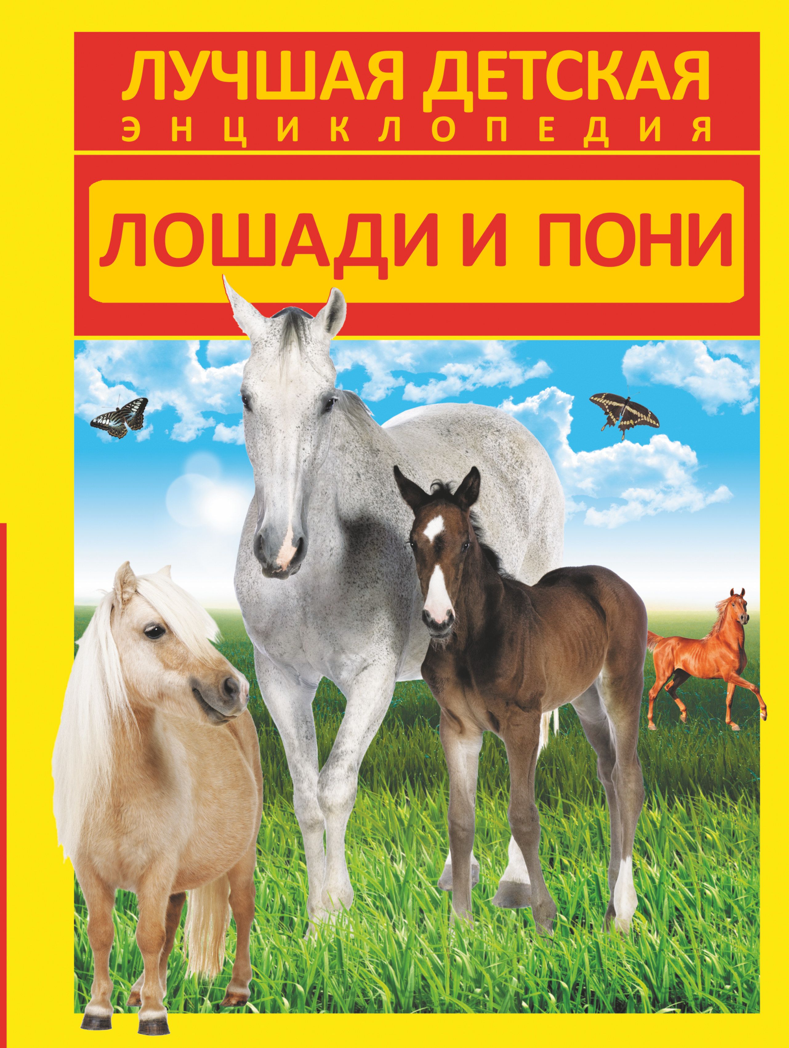 Купить книгу лошади. Энциклопедия лошади Росмэн детская и пони. Книги про лошадей. Лошади и пони. Книги о лошадях для детей.