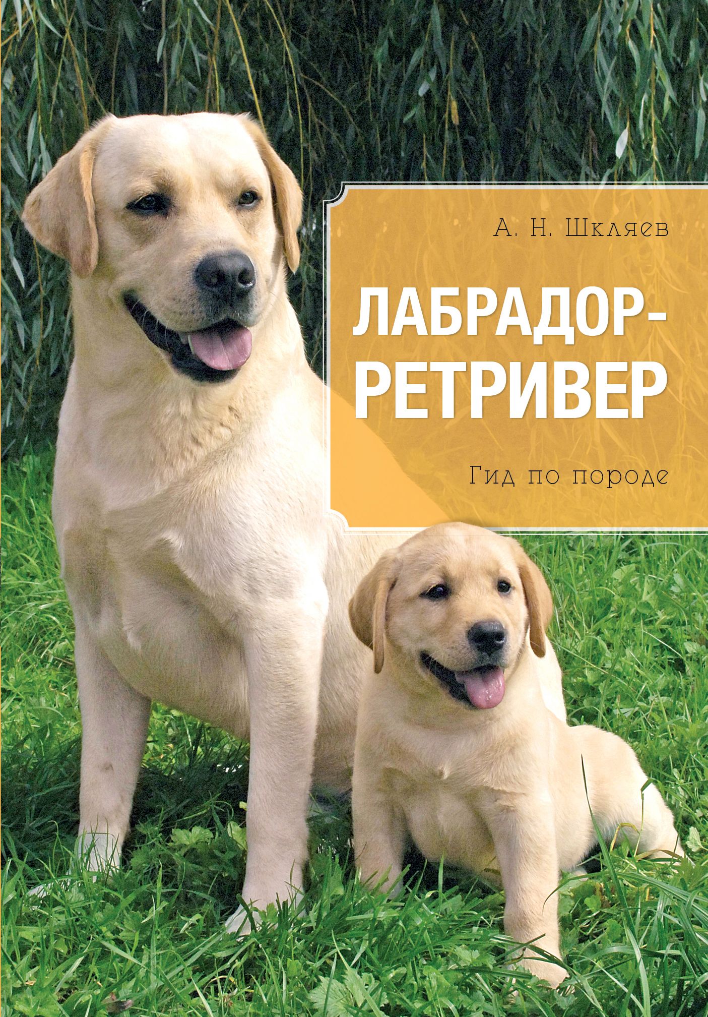 Лабрадор уход и содержание. Лабрадор ретривер. лабрадор ретривер голден короткошерстная. книга лабрадор ретривер. книги про лабрадоров.