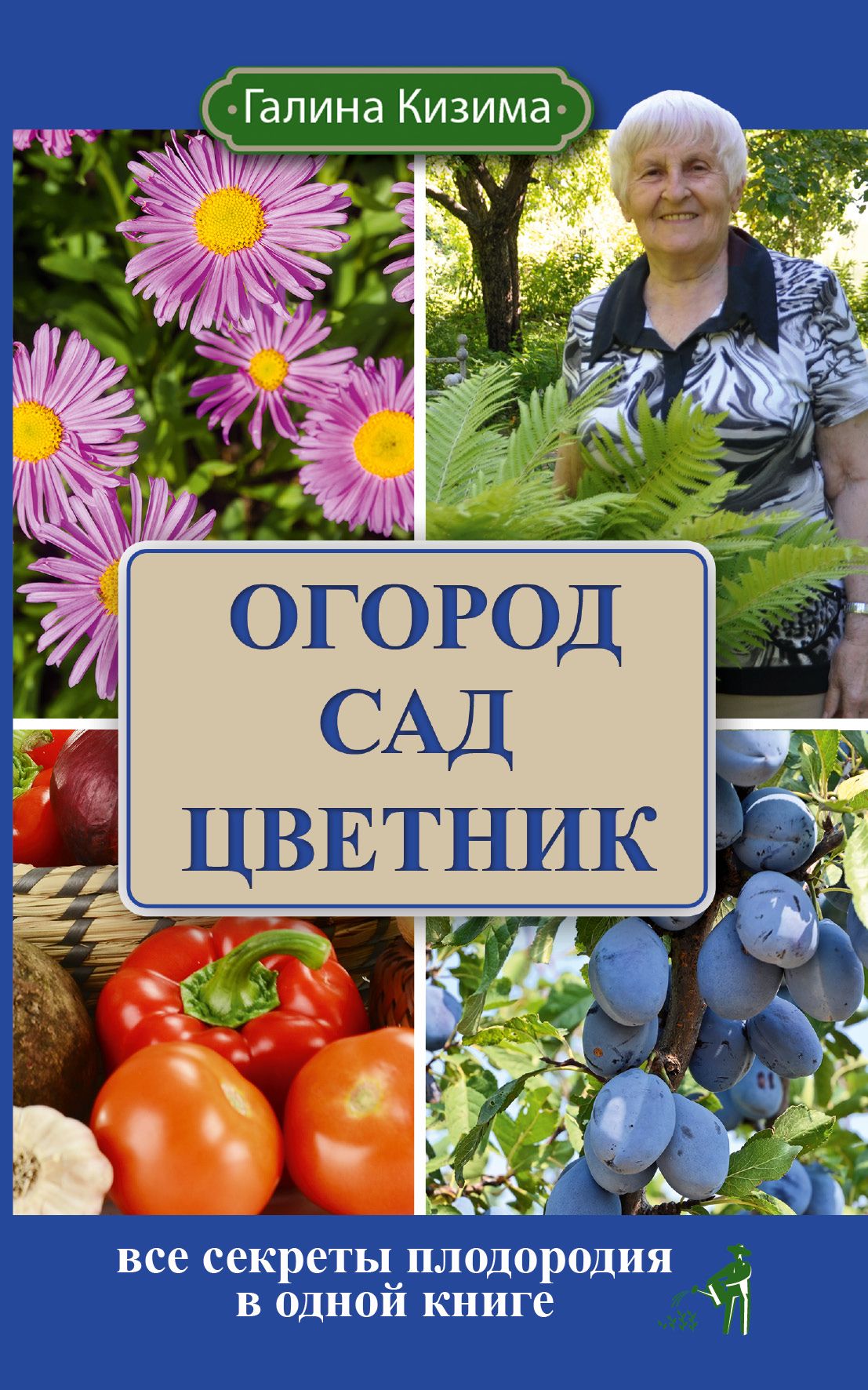 Галина Кизима Книги Купить