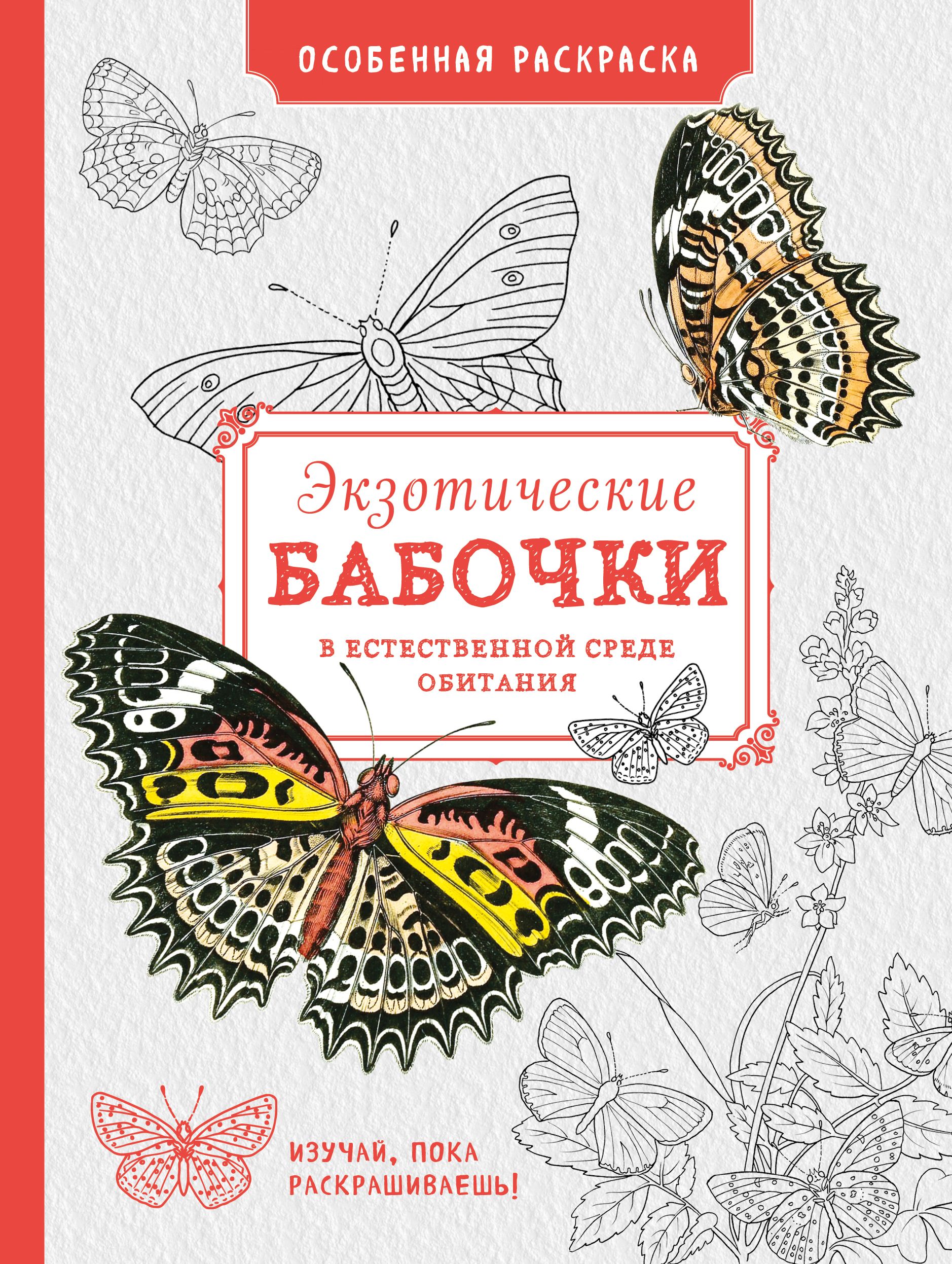 Экзотические книги. Раскраски экзотические бабочки. Особенная раскраска экзотические бабочки. Книга с бабочками. Бабочки в естественной среде.